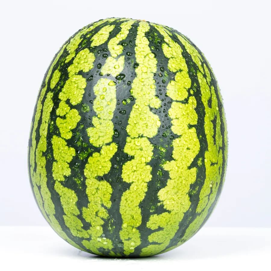 Wassermelone